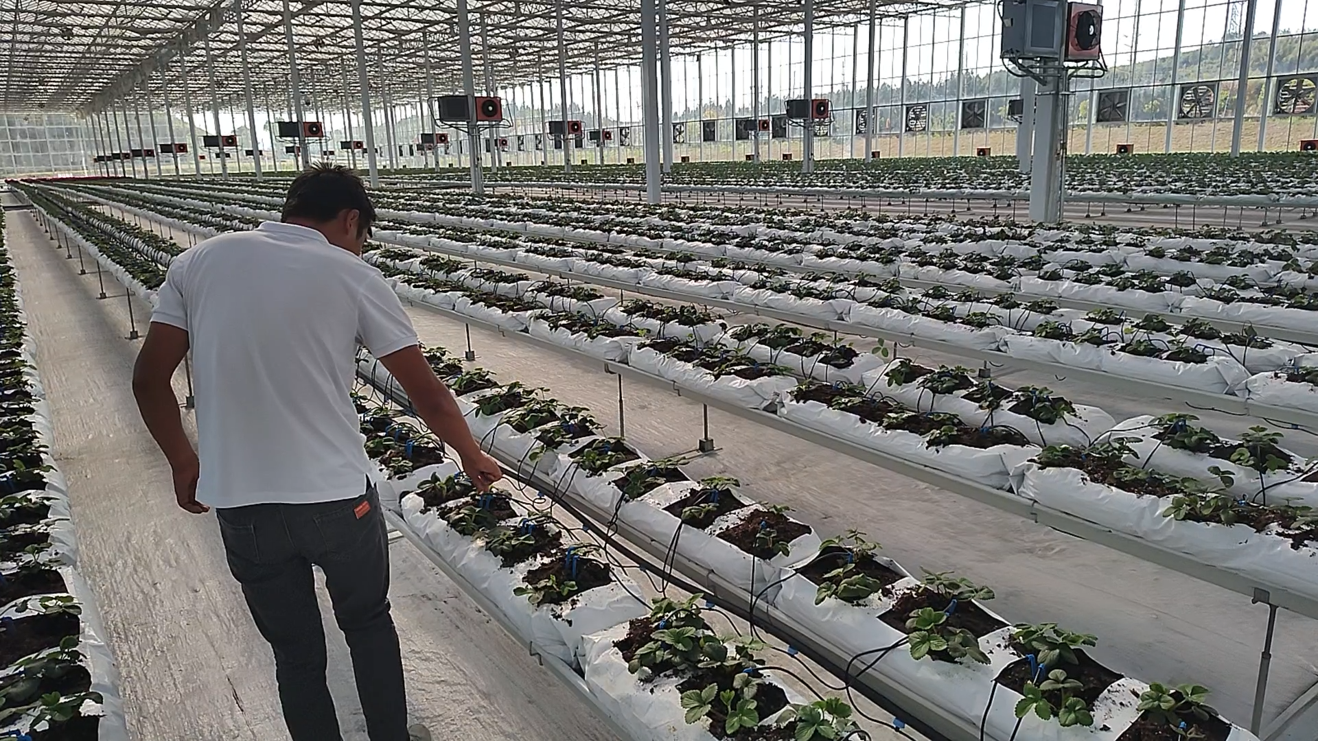 98e5e4cc85b5a6b7bcaefc3f83040f0.png 98e5e4cc85b5a6b7bcaefc3f83040f0.png